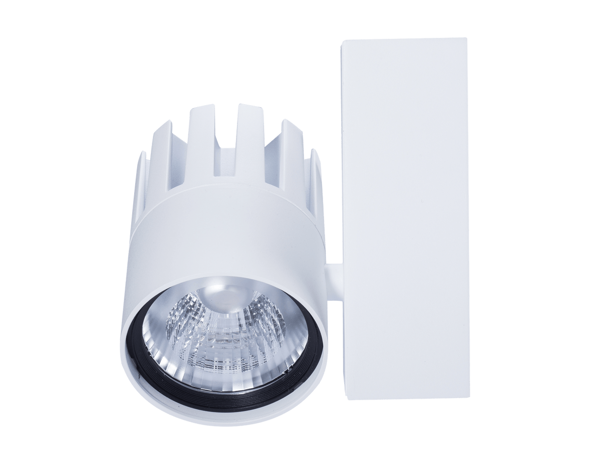 LEDSpot3C-P 30W-4000-40D-WH