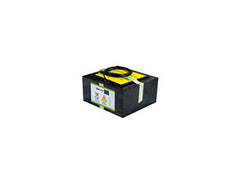 Ajax Alpha Zinc Battery 6V 960Ah – Krachtige Back-up voor Beveiligings- en Energiesystemen