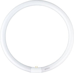 Eglo Spaarlamp G10Q 40W – Warm Wit Licht (3300 lumen)